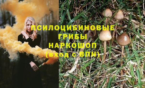 СК Белокуриха