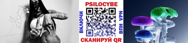 Псилоцибиновые грибы мухоморы  Сегежа 