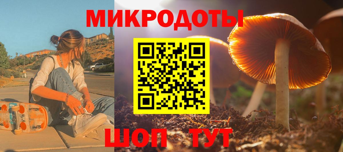 A-PVP Сегежа