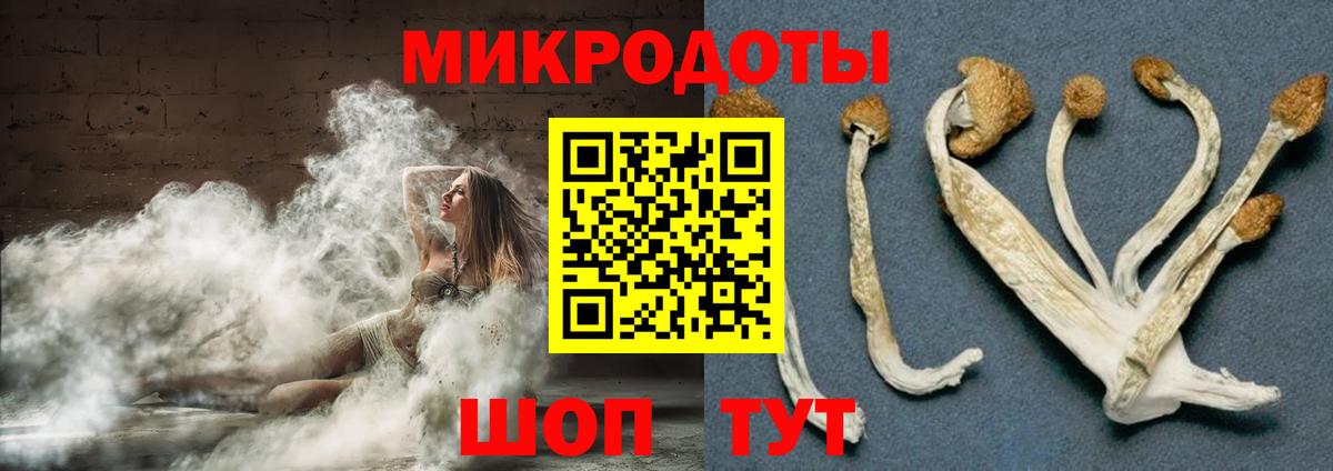 Галлюциногенные грибы Psilocybine cubensis Сегежа