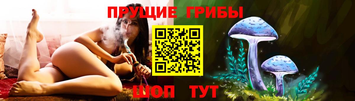 Псилоцибиновые грибы Psilocybine cubensis  Галлюциногенные грибы мухоморы  Сегежа  Вход с VPN 